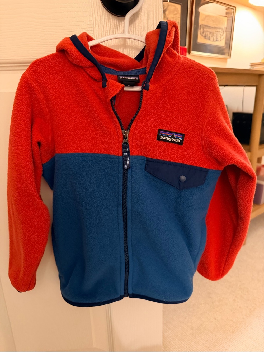 Patagonia Kids Red and Blue Full-Zip Fleece Hoodie
